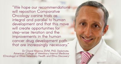 Manuscript calls for collaborative approach to drug development